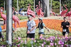 BIB: 
                            <button type="button" onclick="openModal(27794231)" class="btn btn-primary btn-sm float-right btn-popup" data-toggle="modal" data-target=".modal-high-quality">
                        <i class="fas fa-shopping-cart"></i> Add to Cart
                    </button>
                                            <button type="button" onclick="isThisMe(27794231, true)" class="btn btn-success btn-sm float-right btn-popup btn-isme hidden" data-toggle="tooltip" data-placement="bottom" title="นี่คือรูปของคุณใช่ไหม คลิกที่นี่เพื่อเอาเข้าอัลบั้ม">
                        <i class="fas fa-plus"></i> Add to album
                    </button>
                    <button type="button" onclick="isThisMe(27794231, false)" class="btn btn-warning btn-sm float-right btn-popup btn-isnotme hidden">
                        <i class="fas fa-ban"></i> Remove from album
                    </button>